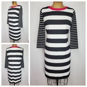 Eliza J Size 14/L Dress Midi Jersey Stripe Pink Collar 3/4 Sleeve Stretchy Black